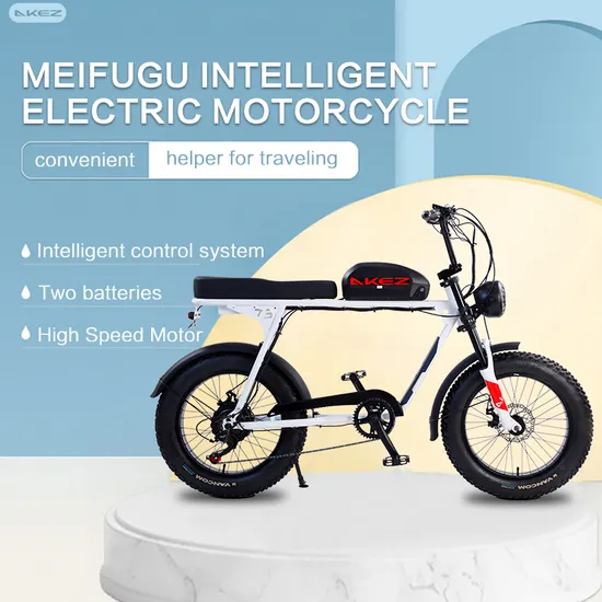 Akez 1500W 48V 18ah Fat Tire Beach Cruiser E