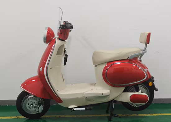 Комплект для переоборудования электровелосипеда Beach Cruiser с задним мотором и аккумулятором