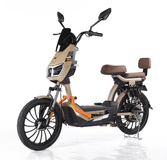 Китайский завод EEC сертифицированный электровелосипед Beach Cruiser 500W ISO 9001: 2015/OEM/ODM/CCP